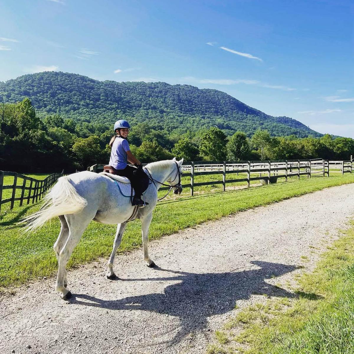 Layered mountain view representing the Cane Creek Farm setting