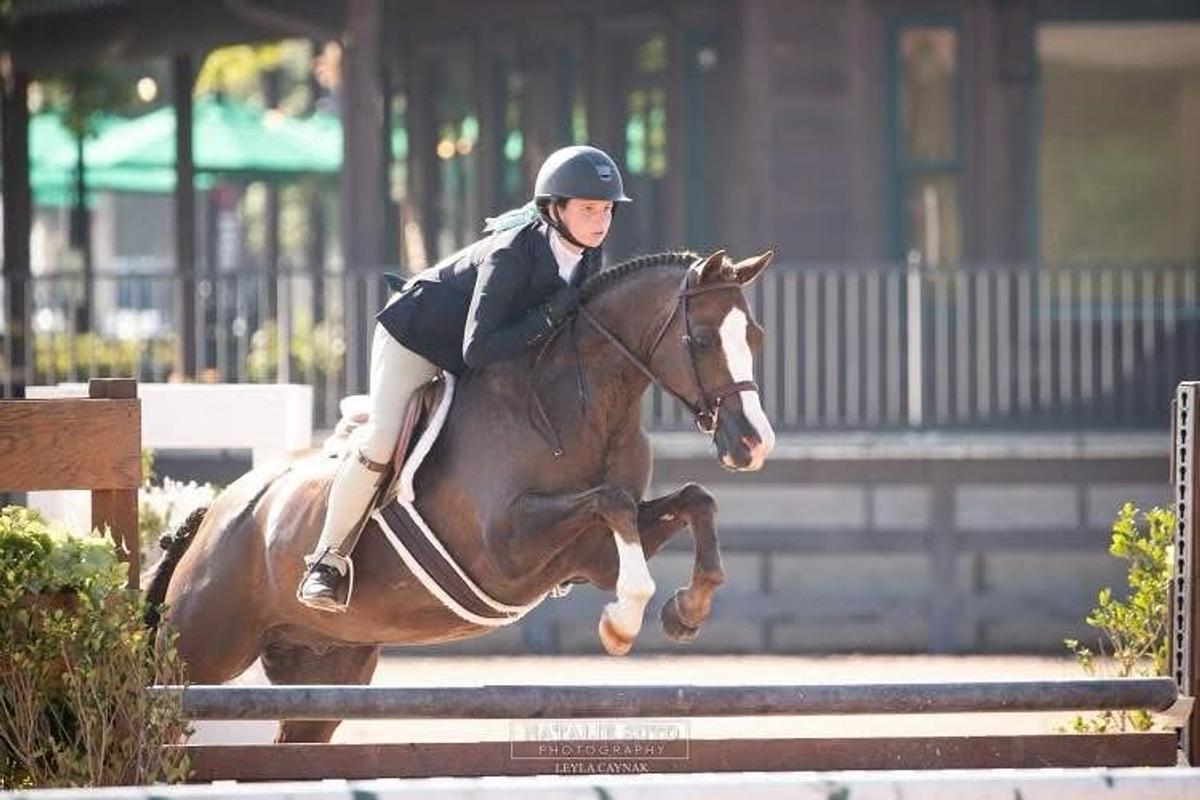 Young rider on horseback at Cane Creek Farm